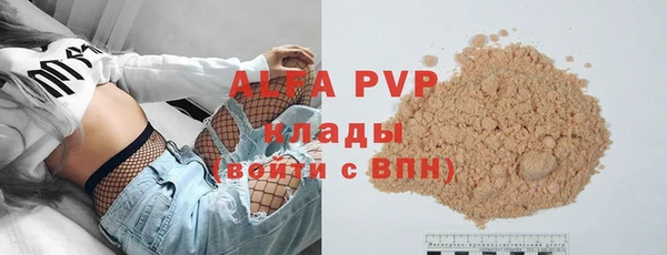 гидра Богданович