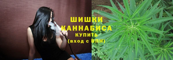 гидра Богданович