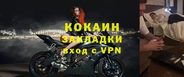 гидра Богданович