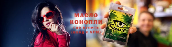 гидра Богданович
