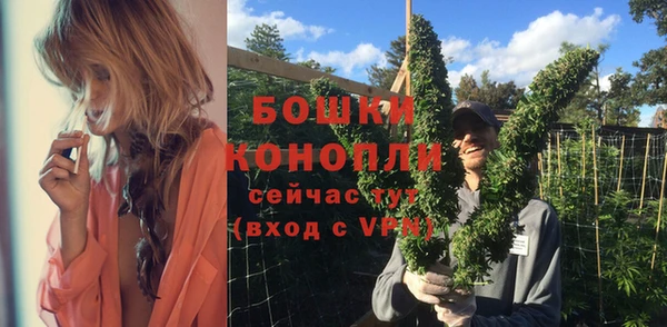 гидра Богданович