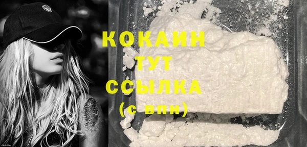 хмурый Богородицк