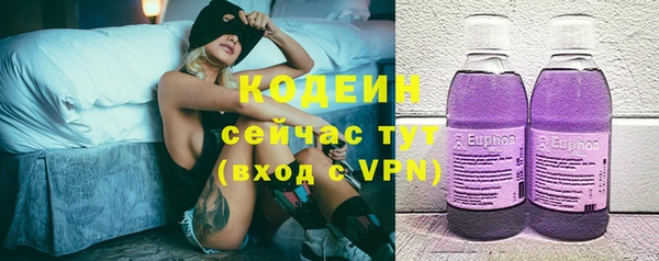 гидра Богданович