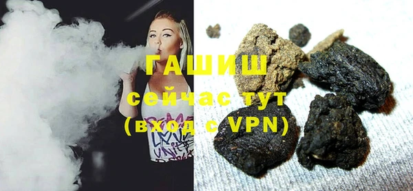 гидра Богданович