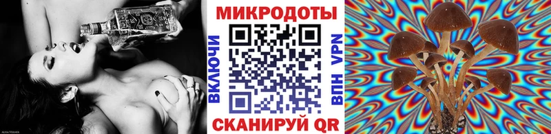 мориарти клад  где купить наркоту  Павловская  Галлюциногенные грибы прущие грибы 